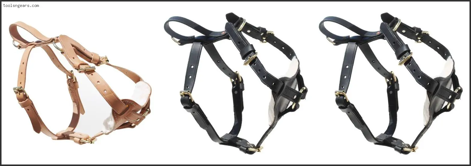 Best Tracking Harness