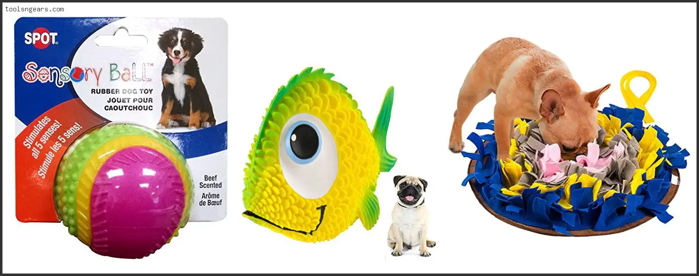 Best Toys For Blind Dogs