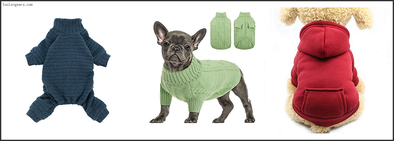 Best Chihuahua Sweaters