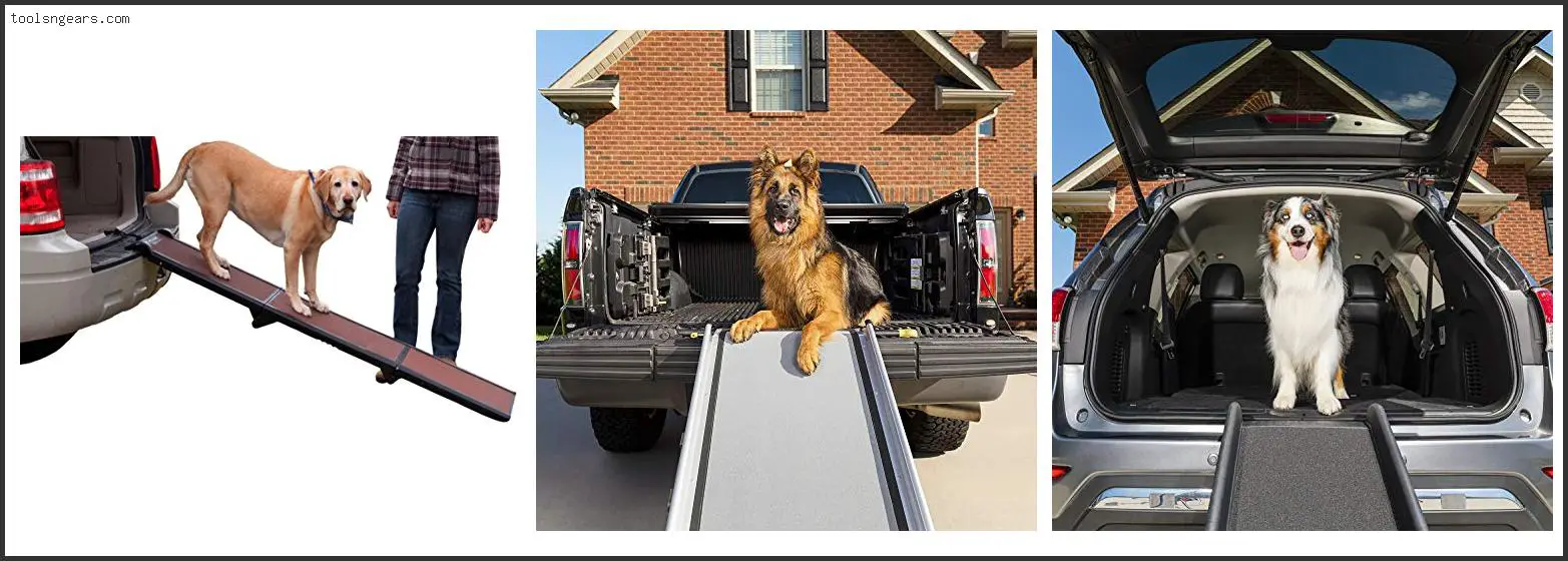 Best Dog Ramp For Pickup Truck