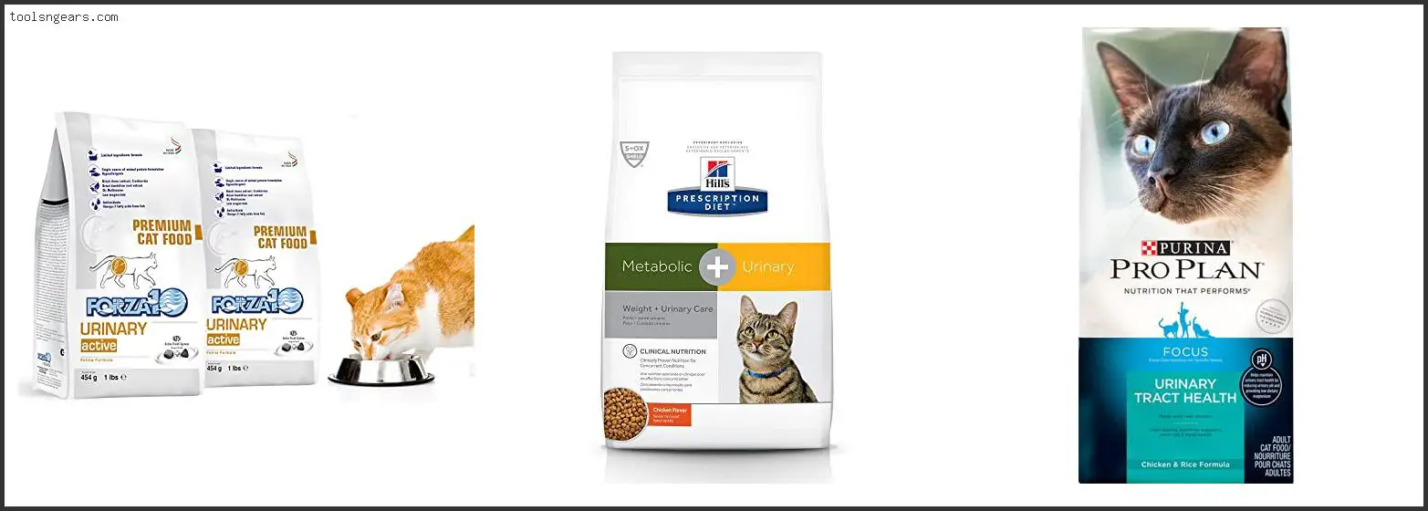 Best Dry Cat Food For Urinary Health