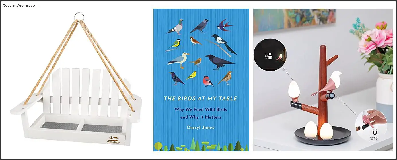 Best Bird Tables