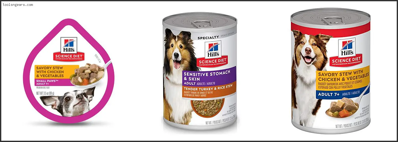 Best Canned Dog Food For Elderly Dogs