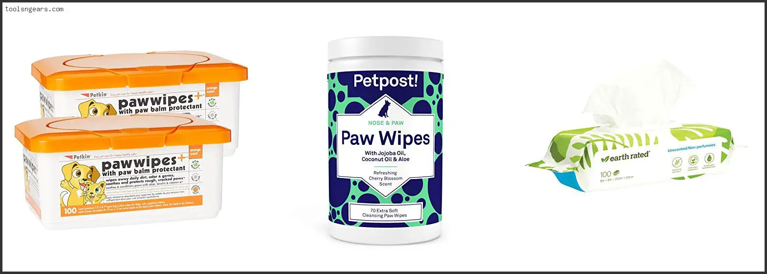 Best Wipes For Dog Paws