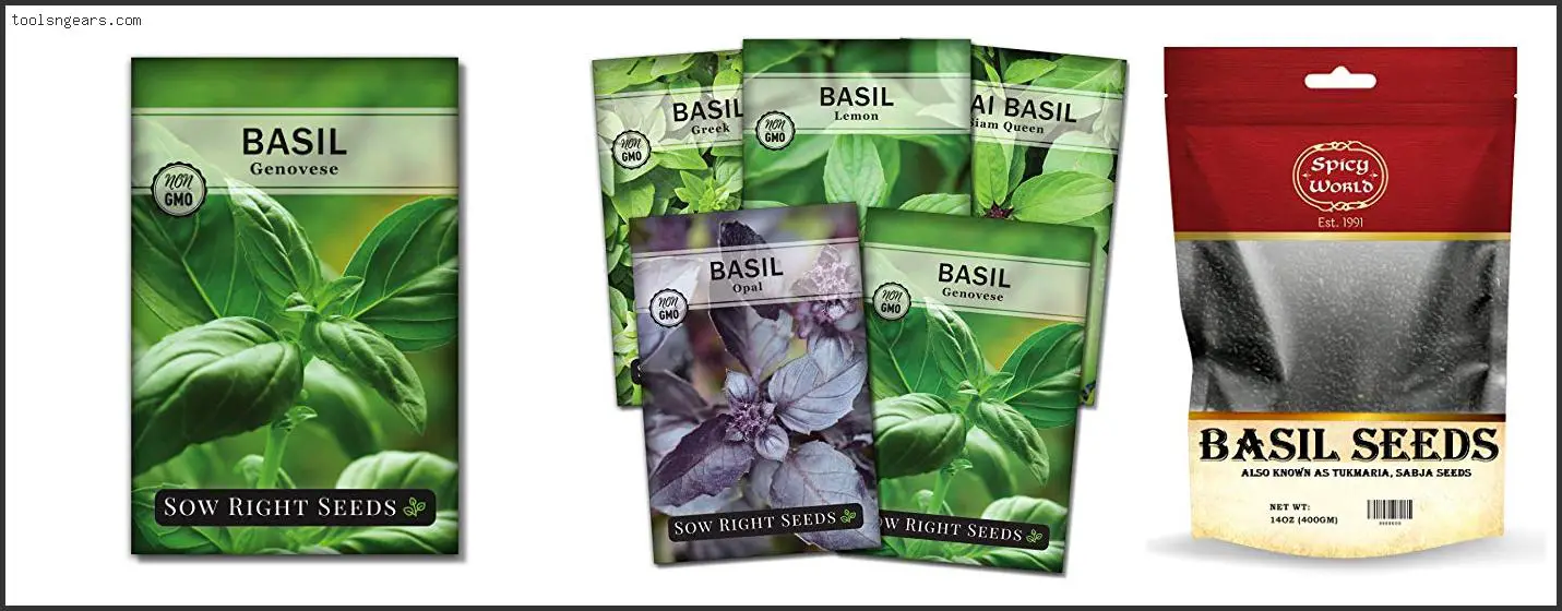 Best Basil Seeds