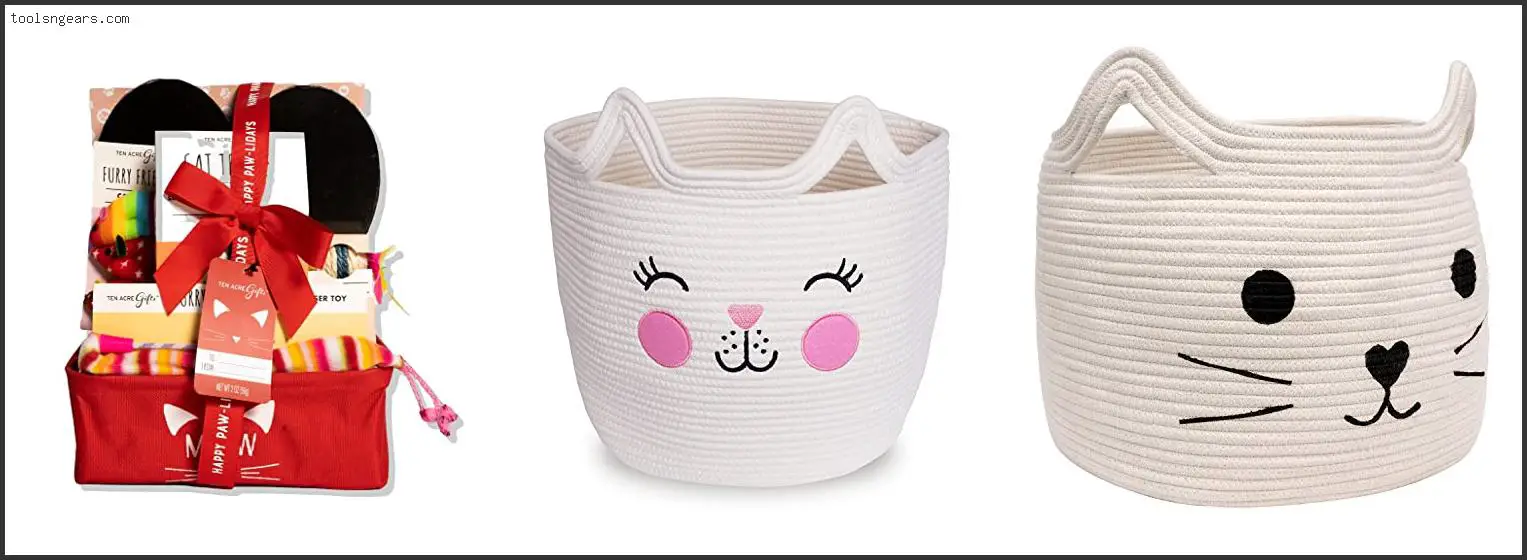 Best Cat Gift Baskets