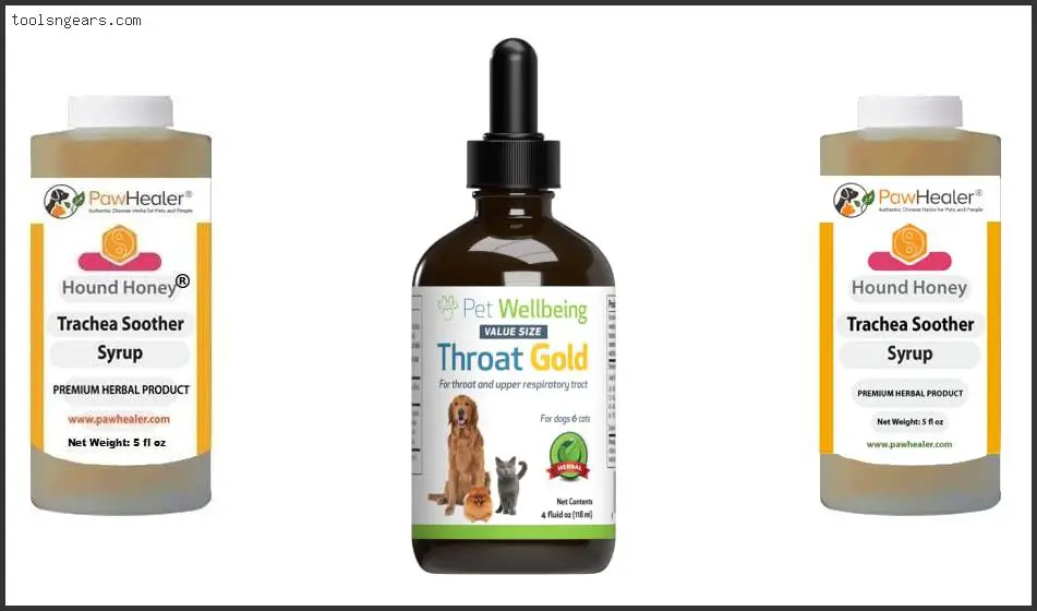 Best Dog Food For Collapsed Trachea