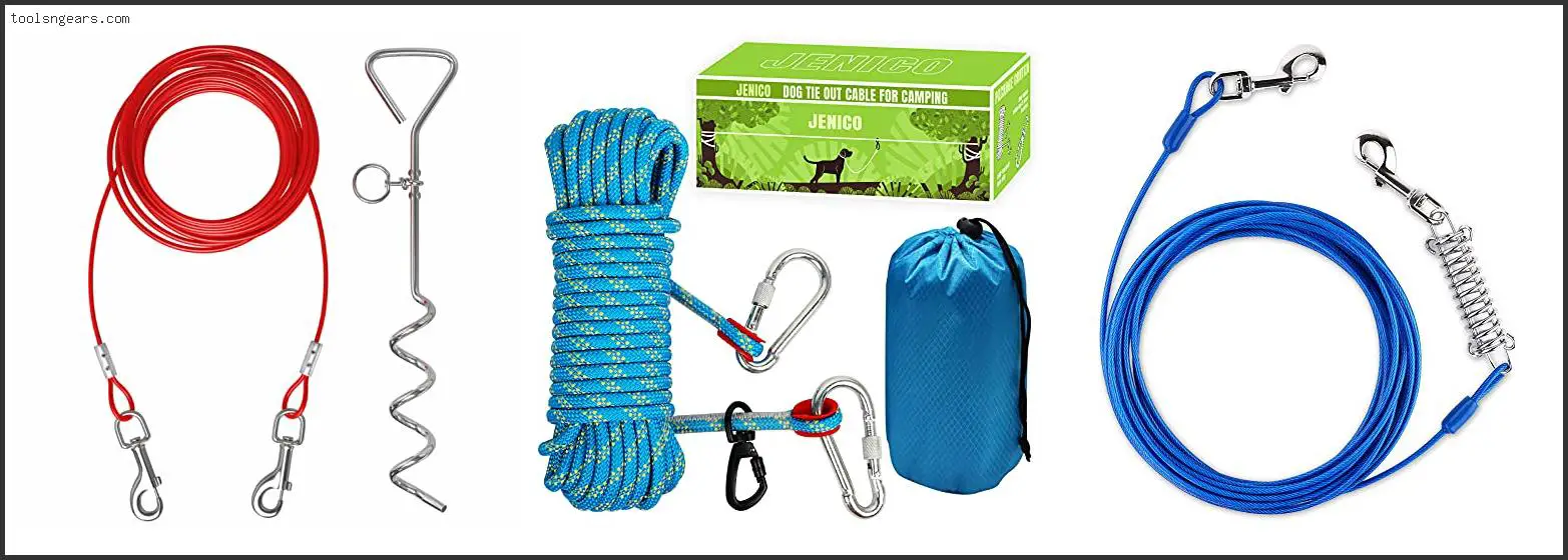 Best Dog Tether For Camping