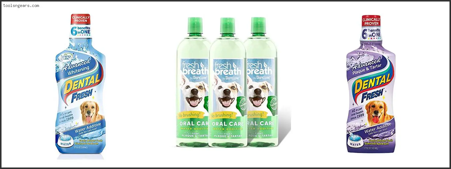 Best Dog Water Additive For Teeth