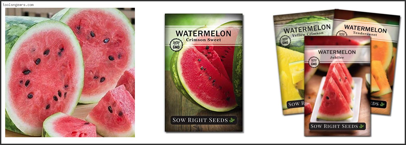 Best Watermelon Seeds To Plant