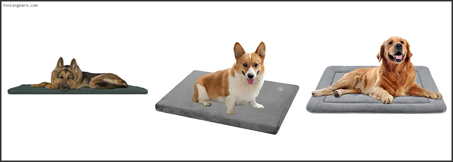 Best Crate Pads For Destructive Dogs