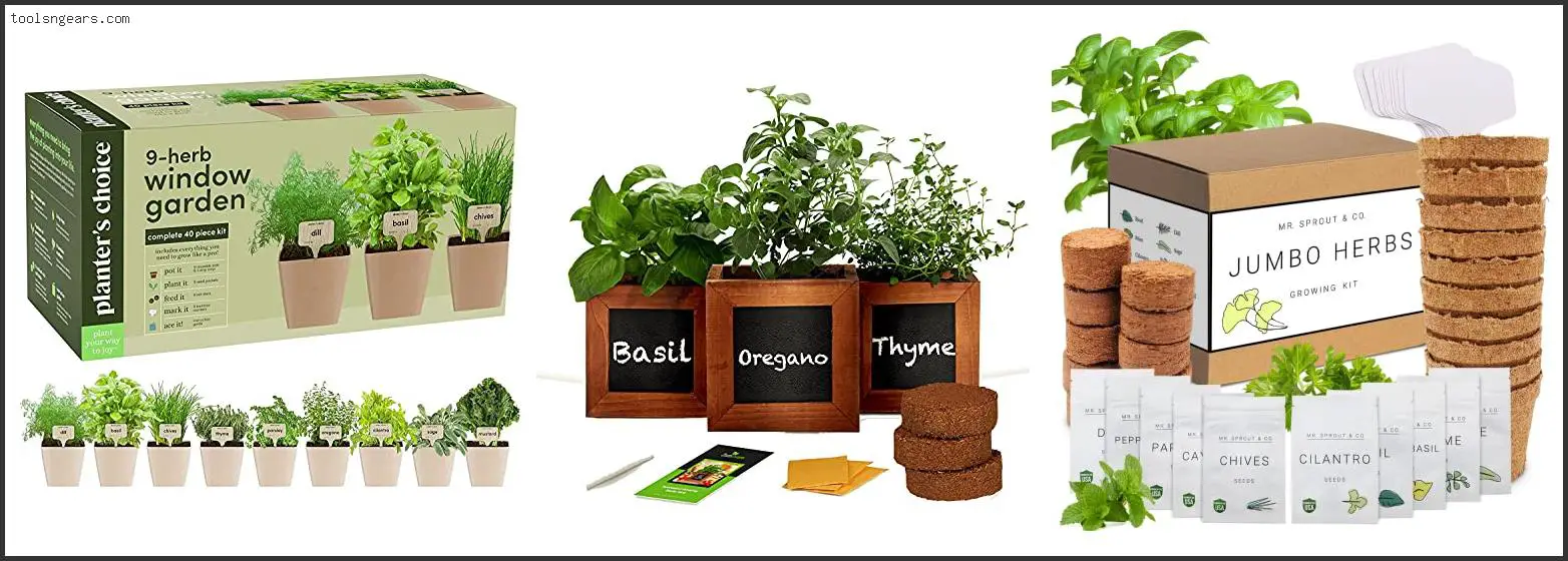 Best Basil To Grow Indoors
