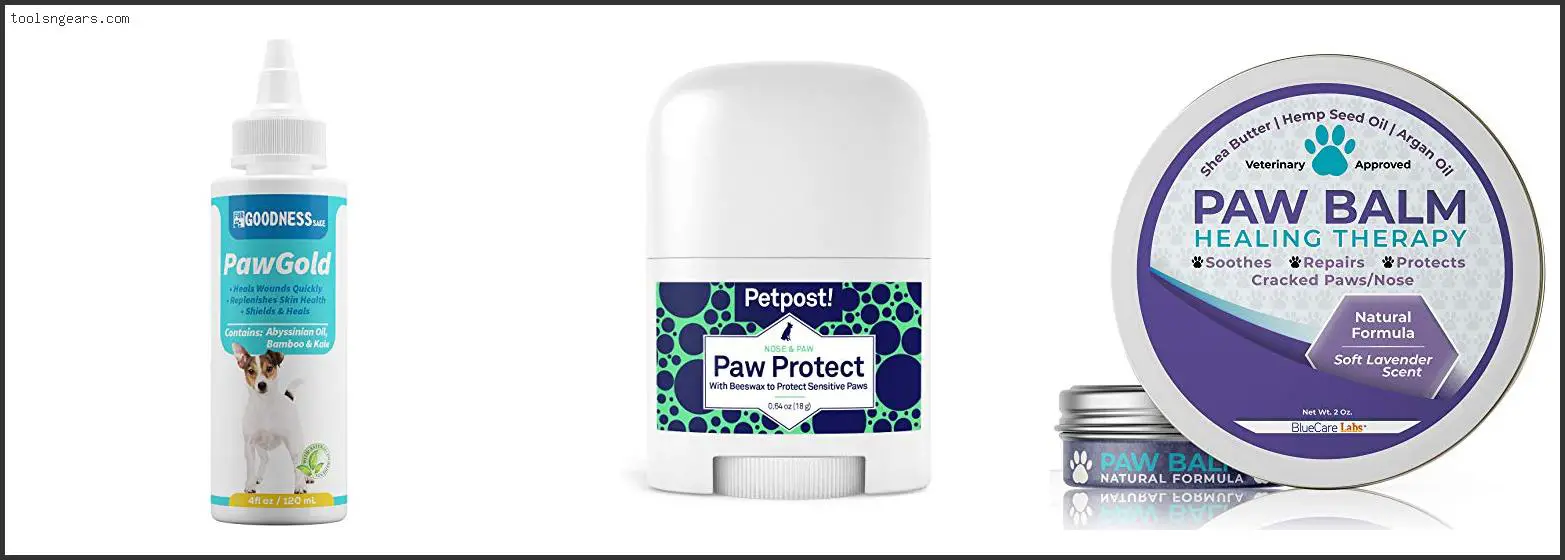 Best Dog Paw Protection For Heat