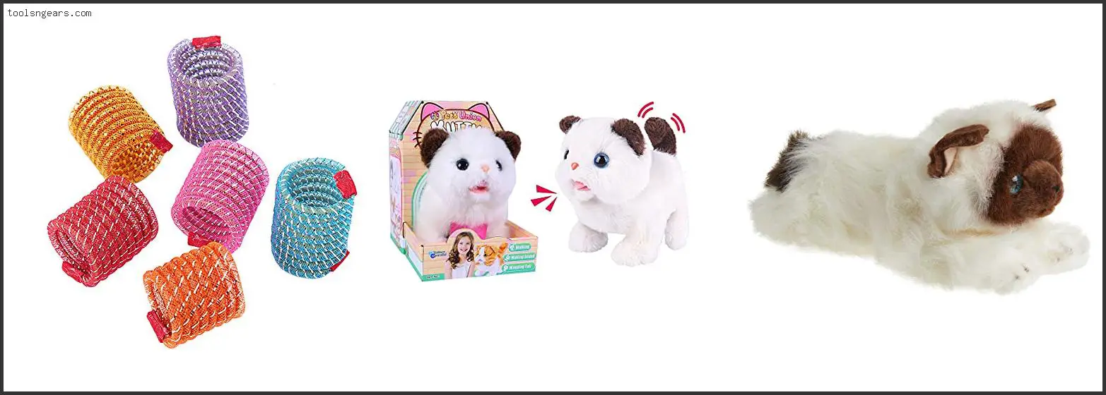 Best Toys For Ragdoll Kittens