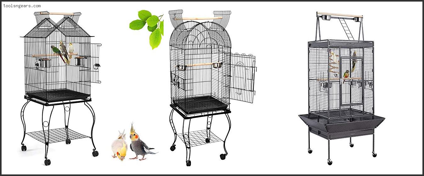 Best Conure Cage