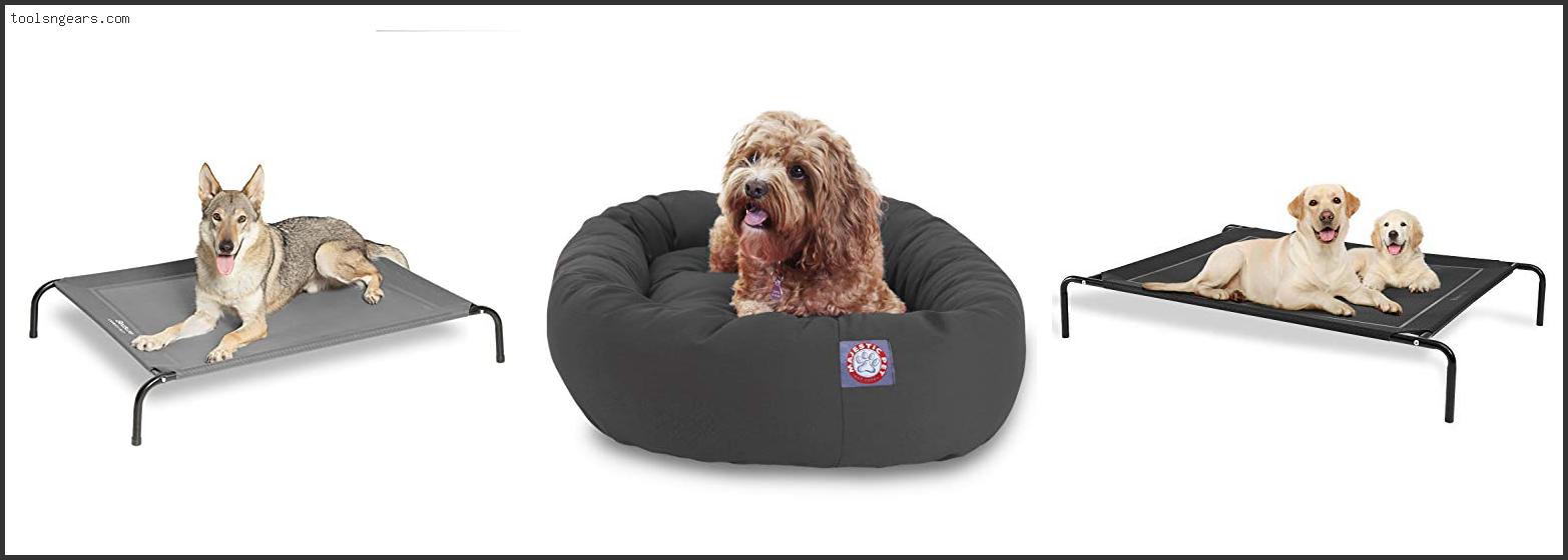Best Dog Beds For Summer