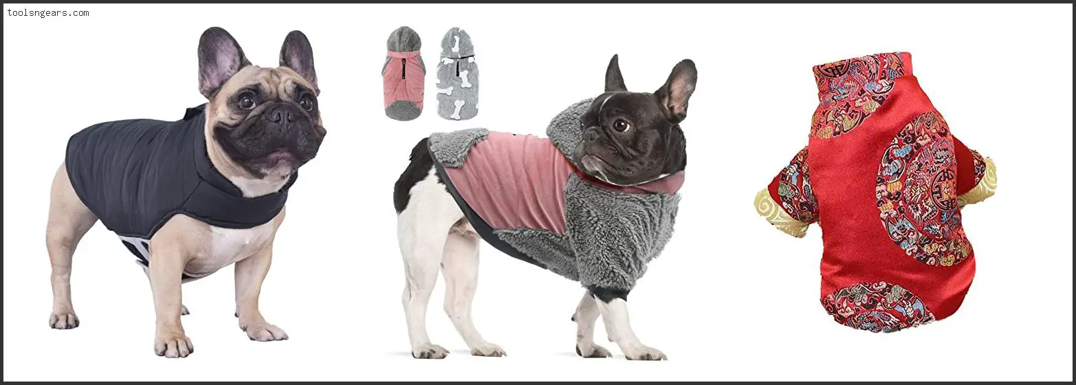 Best Coats For French Bulldogs