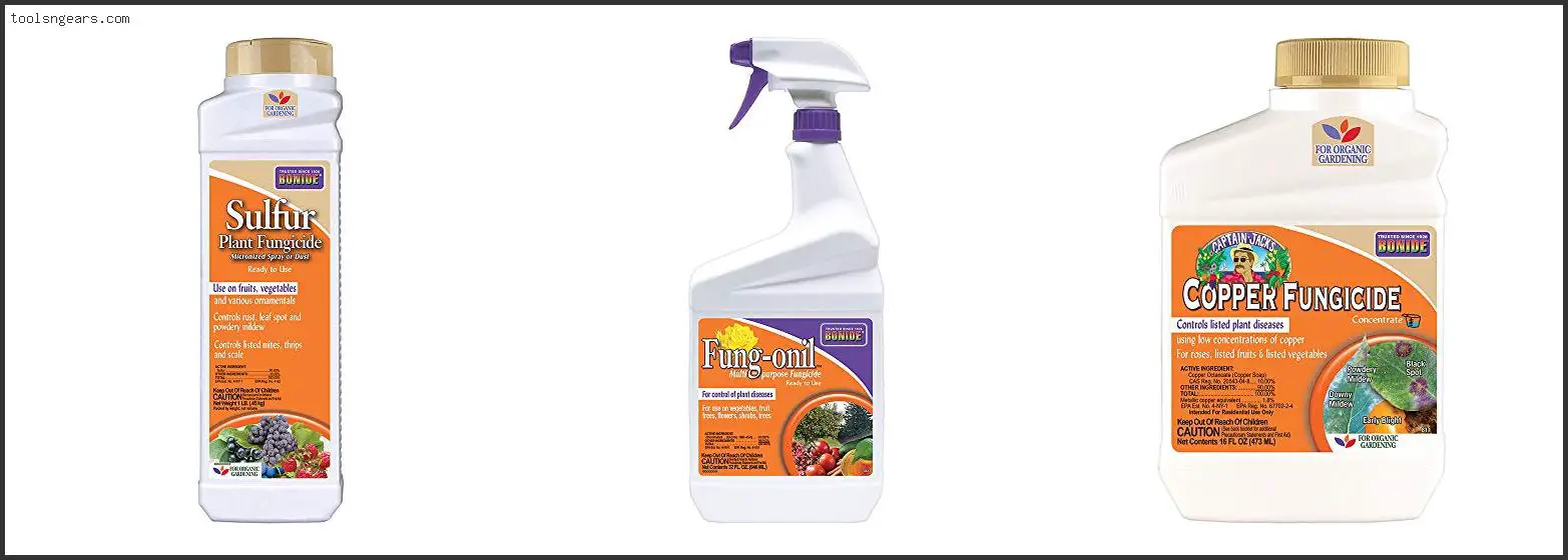 Best Fungicide For Succulents