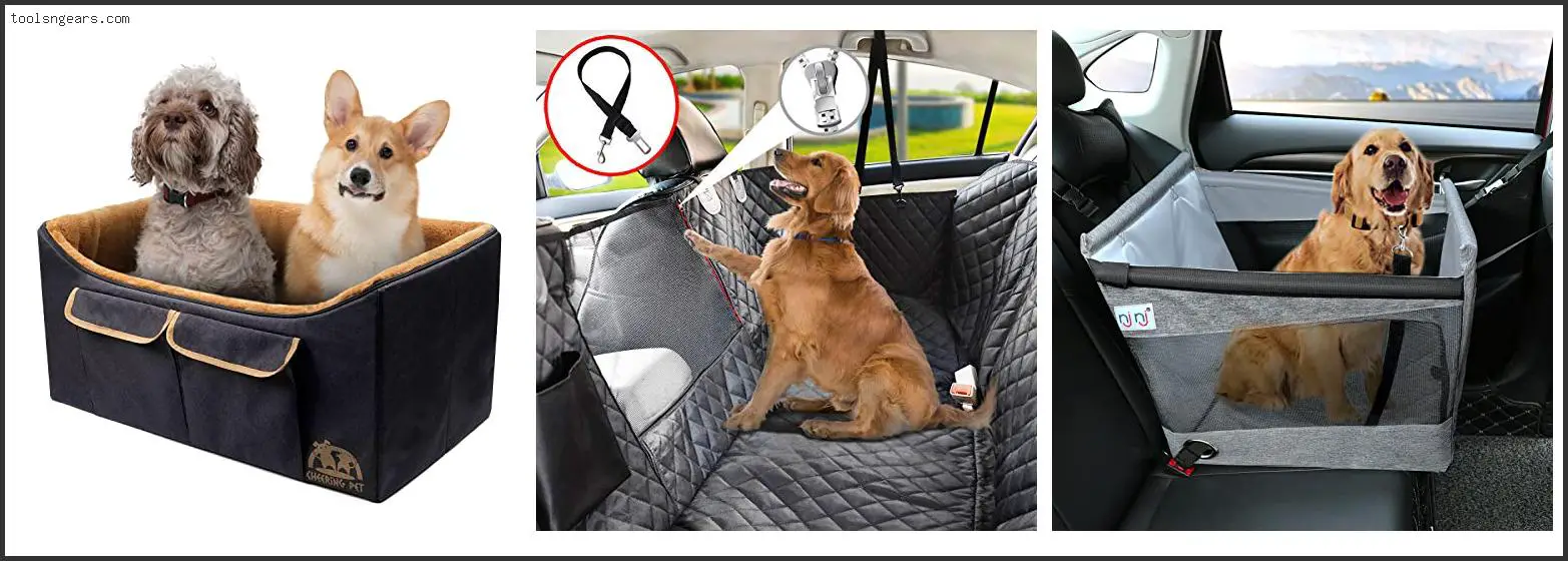 Best Car Seat For Large Dogs