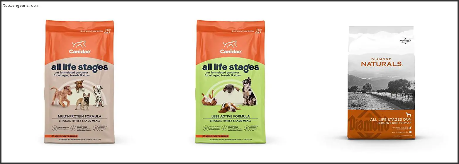 Best All Stages Dry Dog Food