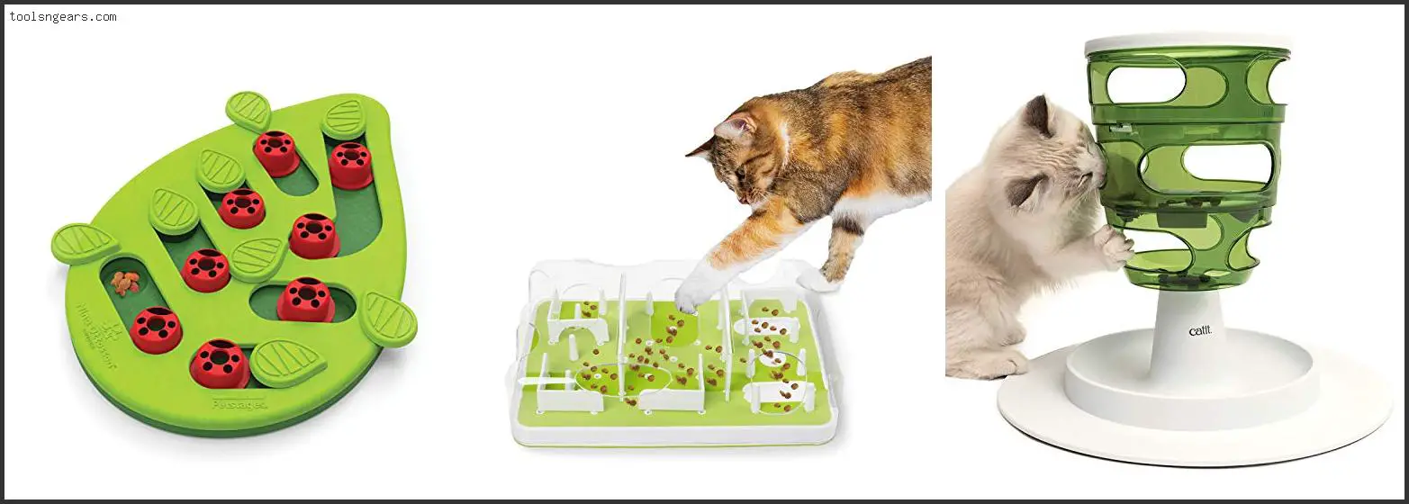 Best Cat Food Puzzles
