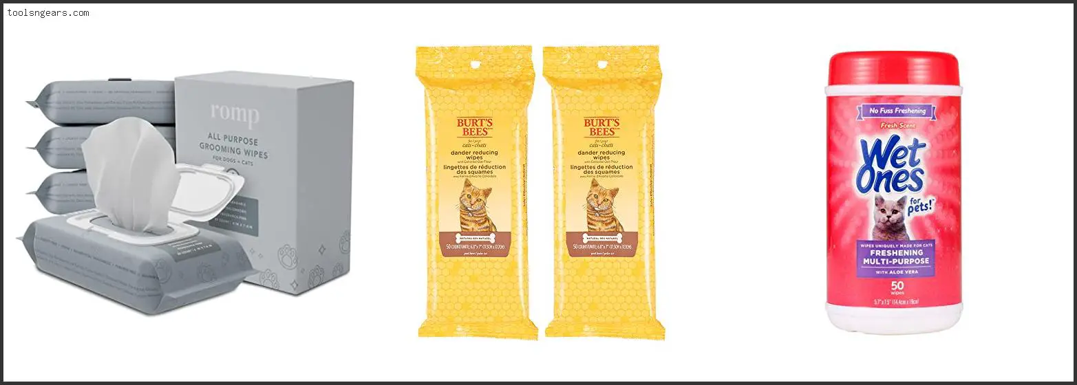 Best Wipes For Sphynx Cats