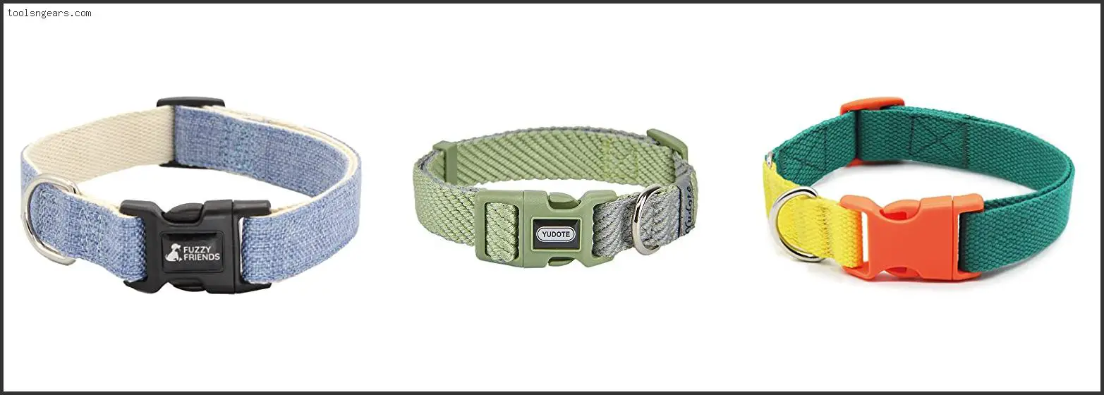 Best Collars For Dogs With Sensitive Skin