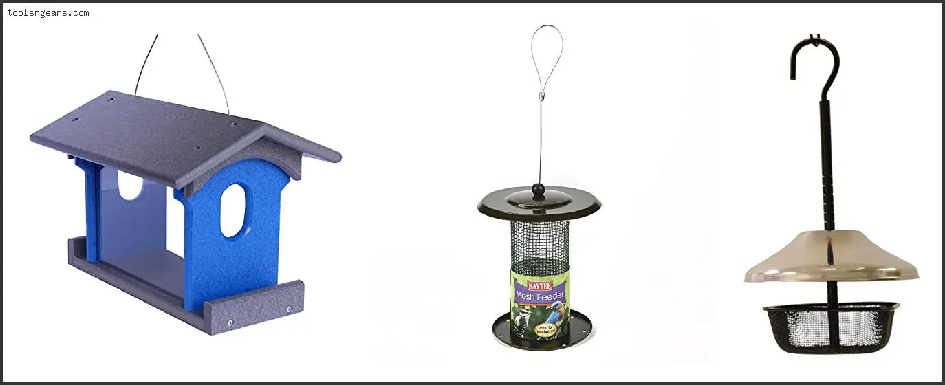 Best Feeder For Mealworms