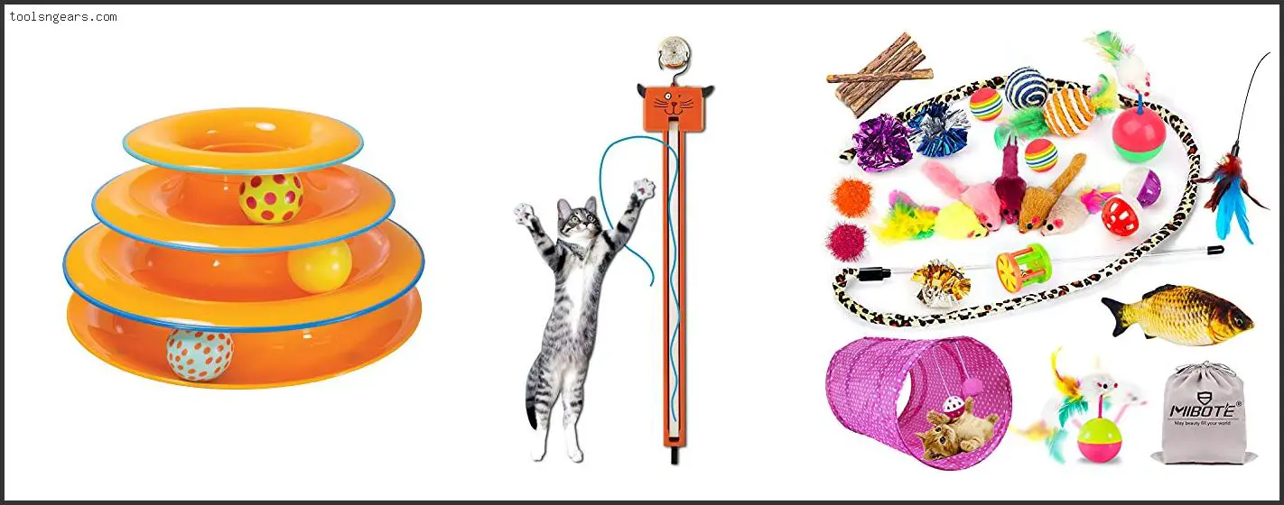 Best Toys For Bengal Cats