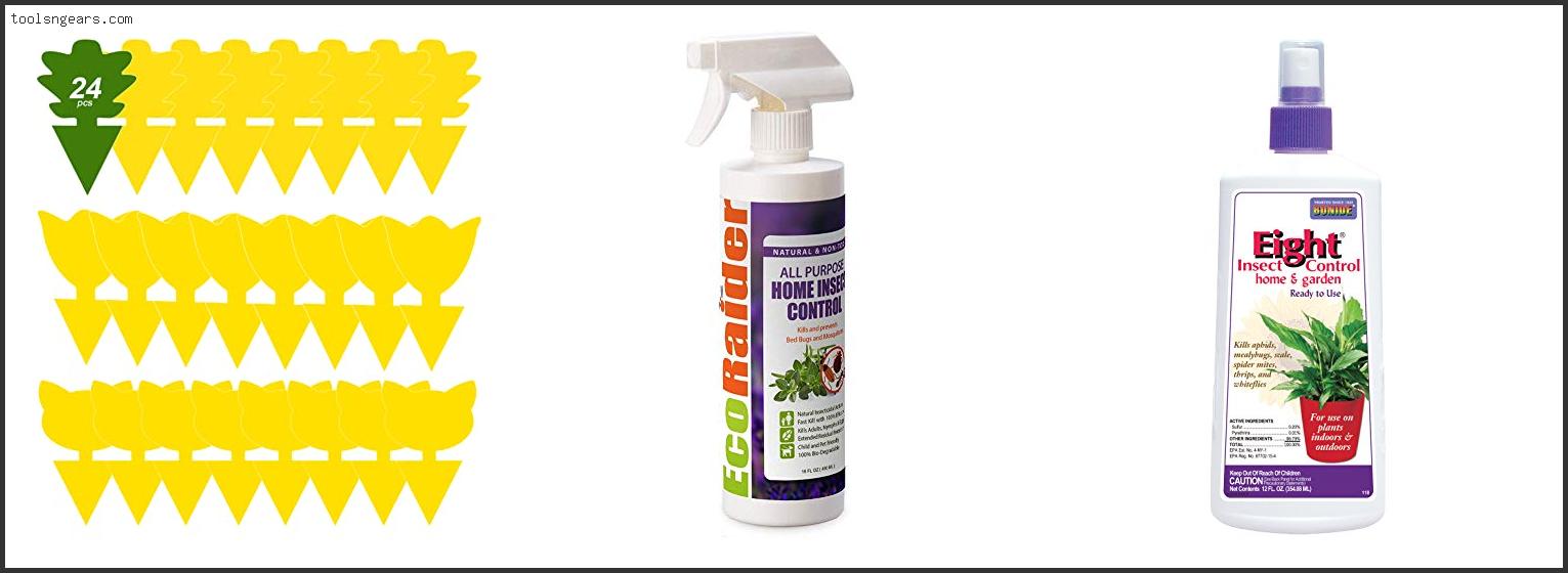 Best Bug Spray For Gnats