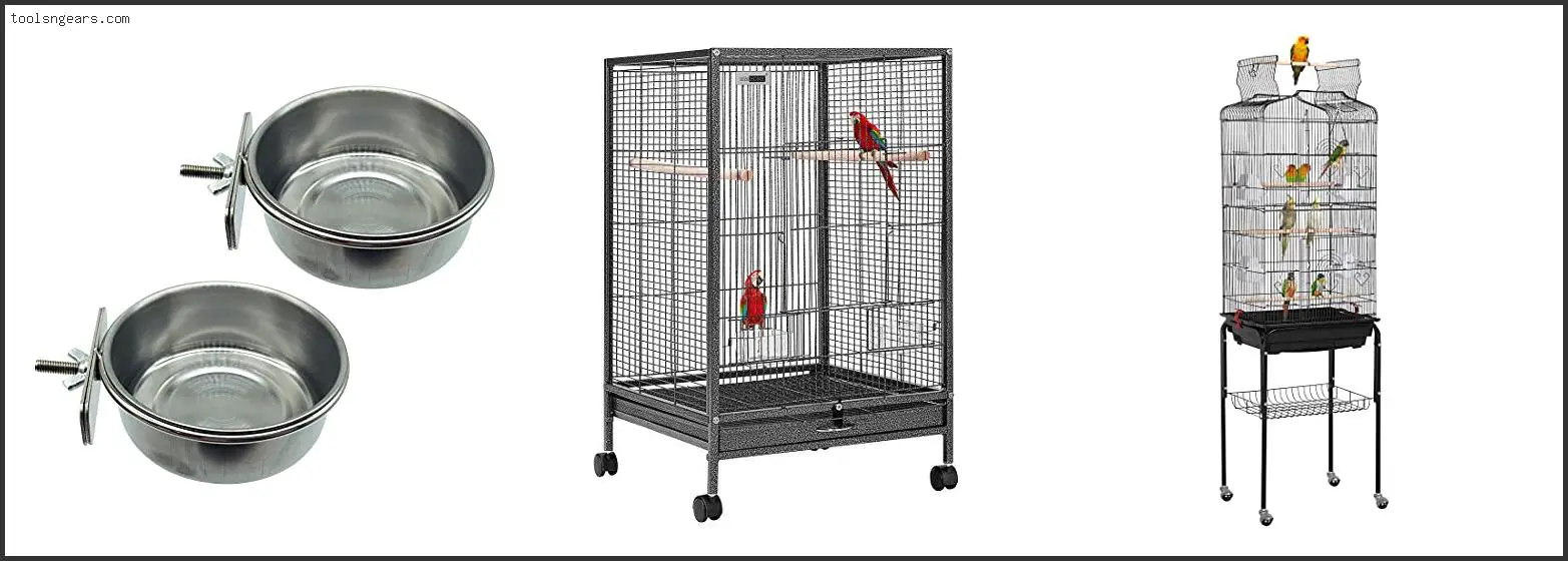 Best Bird Cage For 2 Budgies