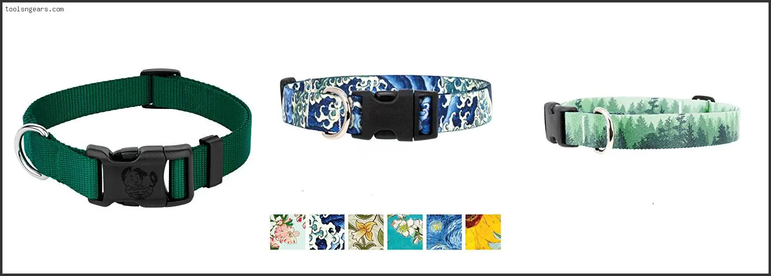 Best Dog Collars Made In Usa