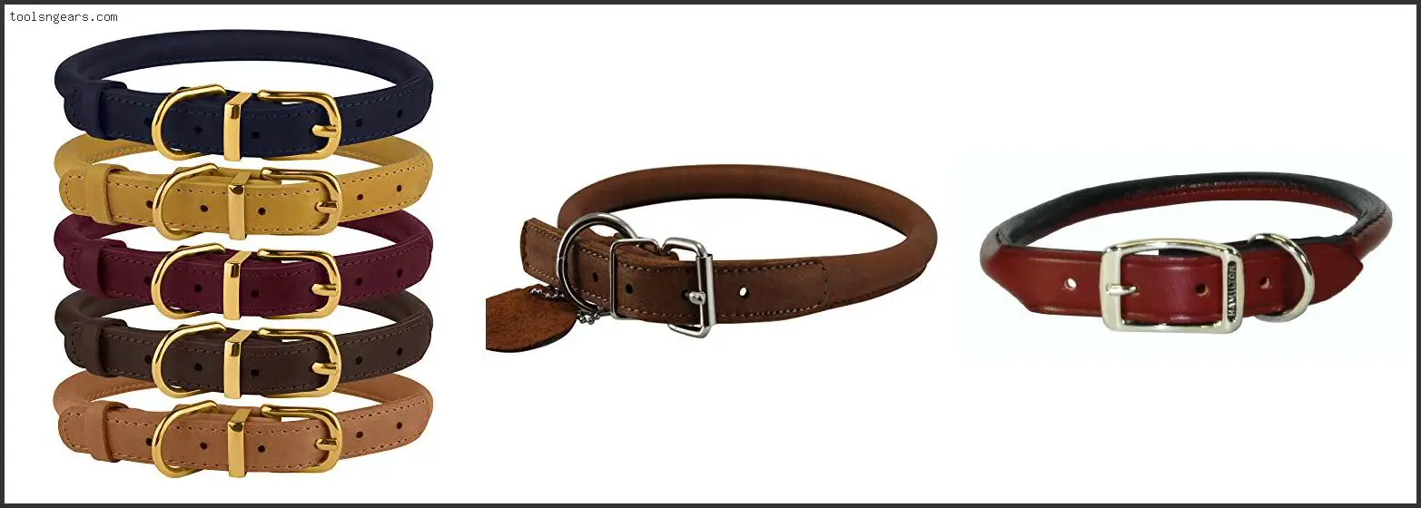 Best Rolled Leather Dog Collar