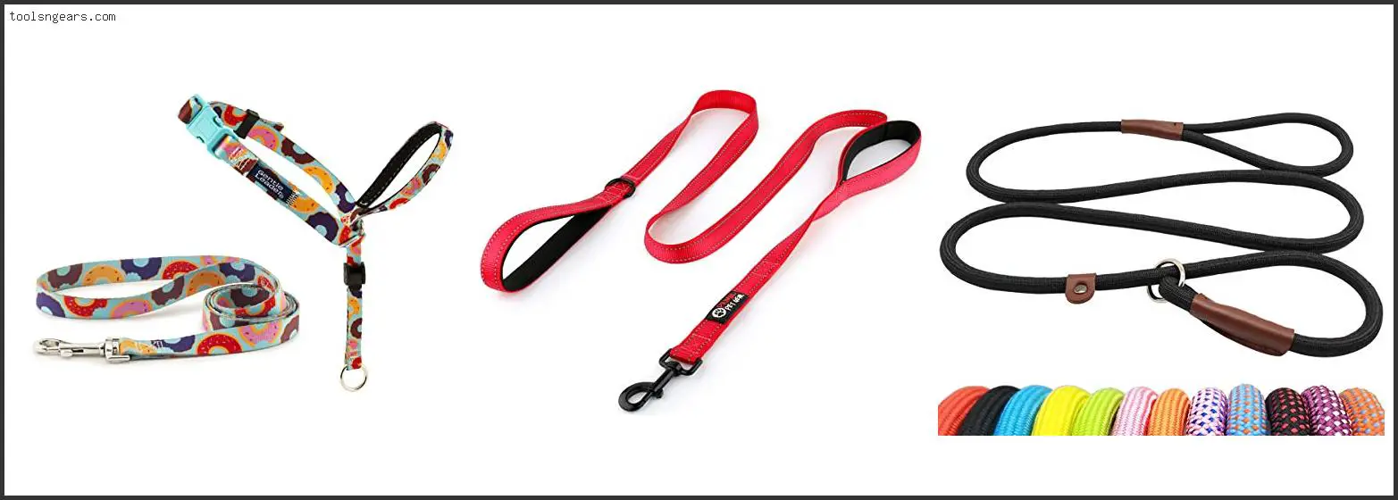 Best Dog Leads For Dogs That Pull