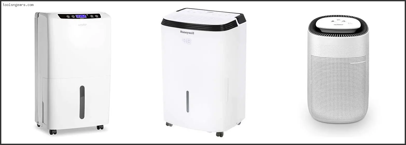 Best Dehumidifier For 1000 Sq Ft