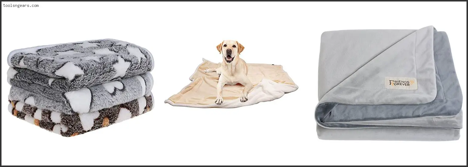 Best Blankets For Dogs That Shed