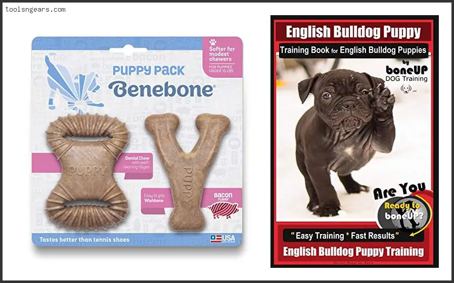 Best Bones For Bulldog Puppies