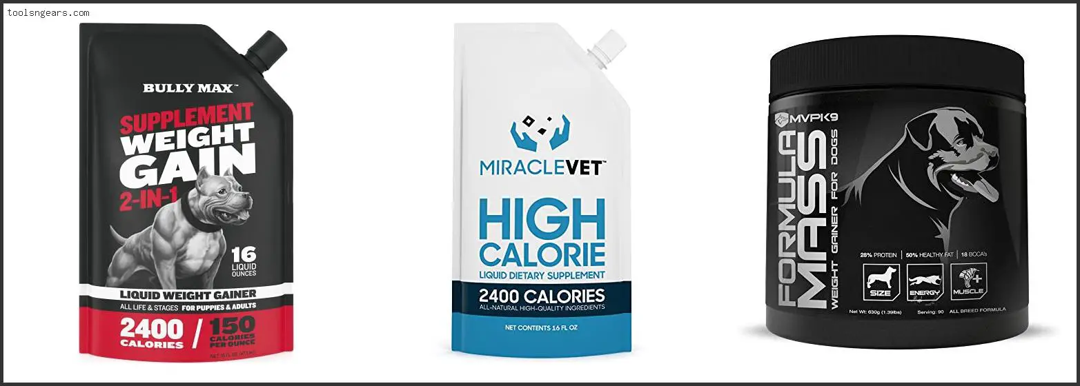 Best Weight Gainer For Dogs