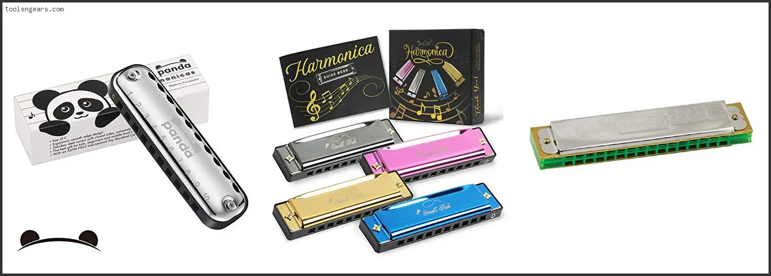 Best Harmonica For Toddlers