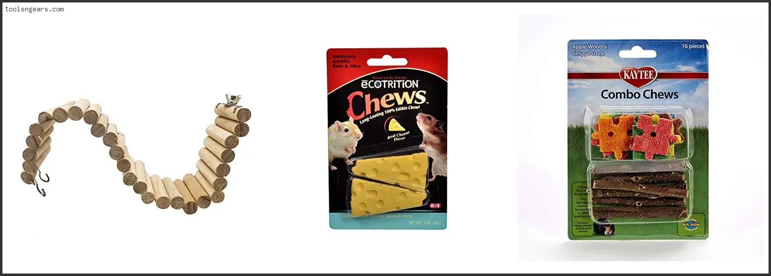 Best Chew Toys For Dwarf Hamsters