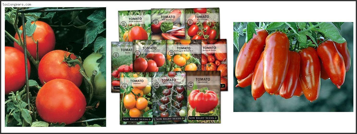 Best Tomato Seeds For Sale