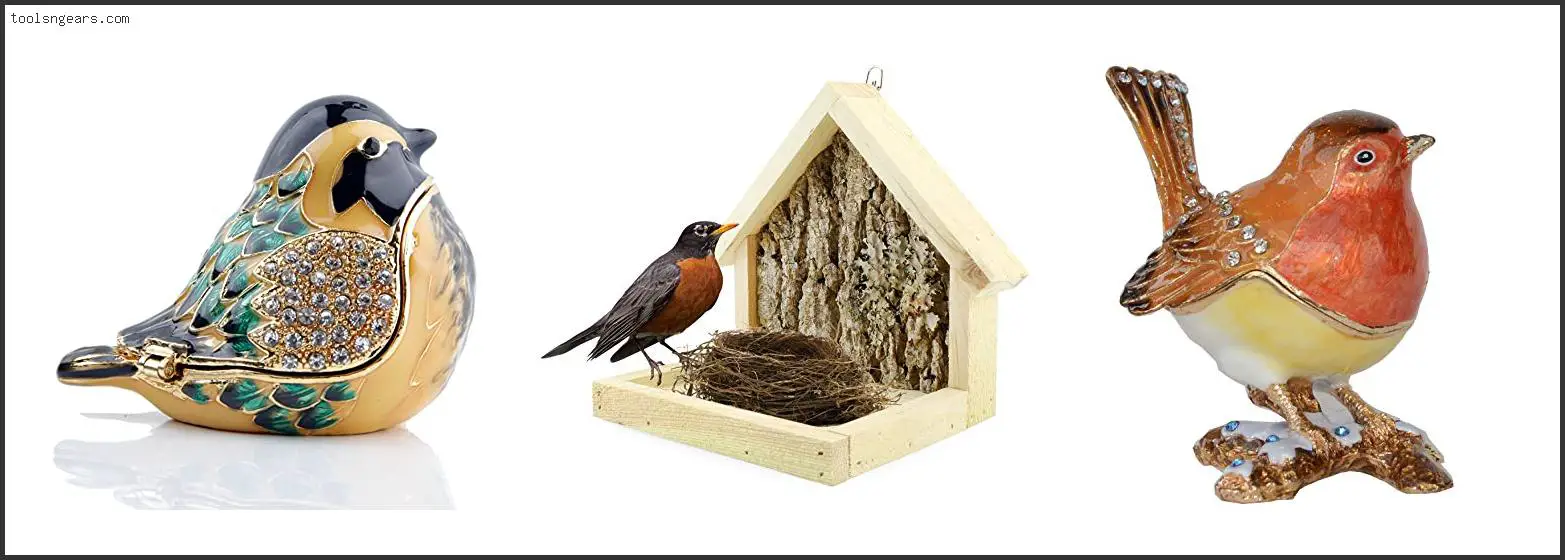 Best Bird Box For Robins
