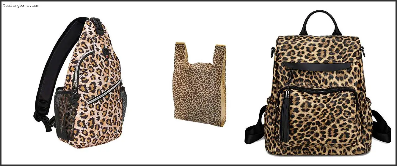 Best Leopard Print Bags
