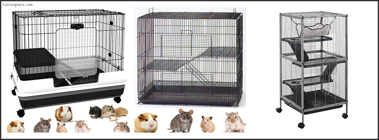 Best Rat Cages For 2 Rats