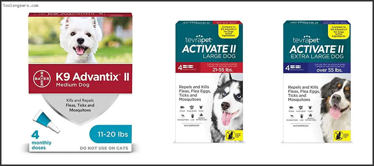 Best Flea Tick Mosquito Prevention For Dogs