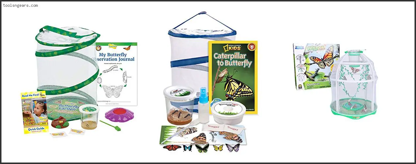 Best Caterpillar To Butterfly Kit