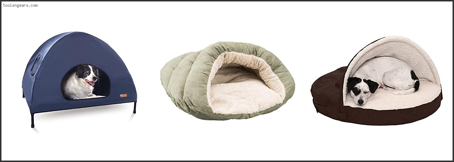 Best Dog Tent Bed