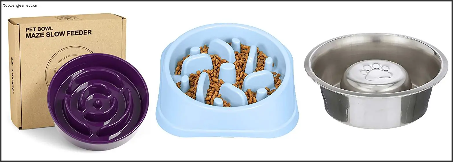 Best Slow Feed Dog Bowl For Small Dogs