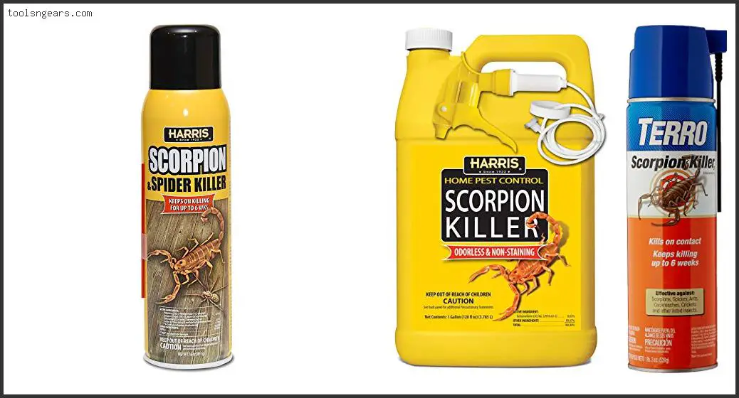 Best Scorpion Repellent