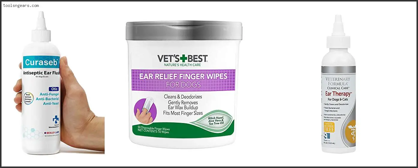 Best Medication For Dogs Yeast Infection In Ear